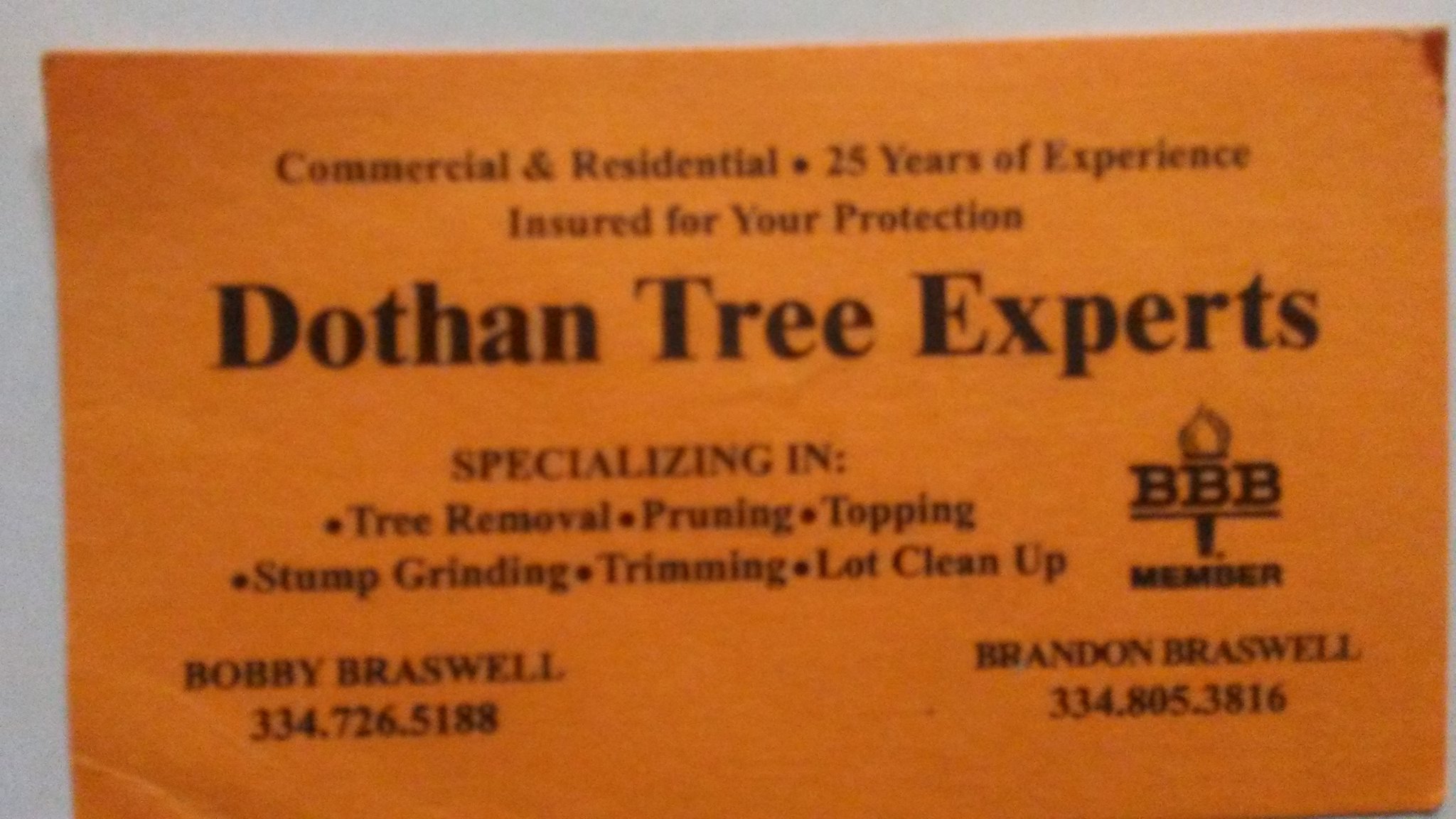 Dothan Tree Experts